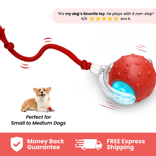 dayoon™ DogyFun | 1+1 Gratis!