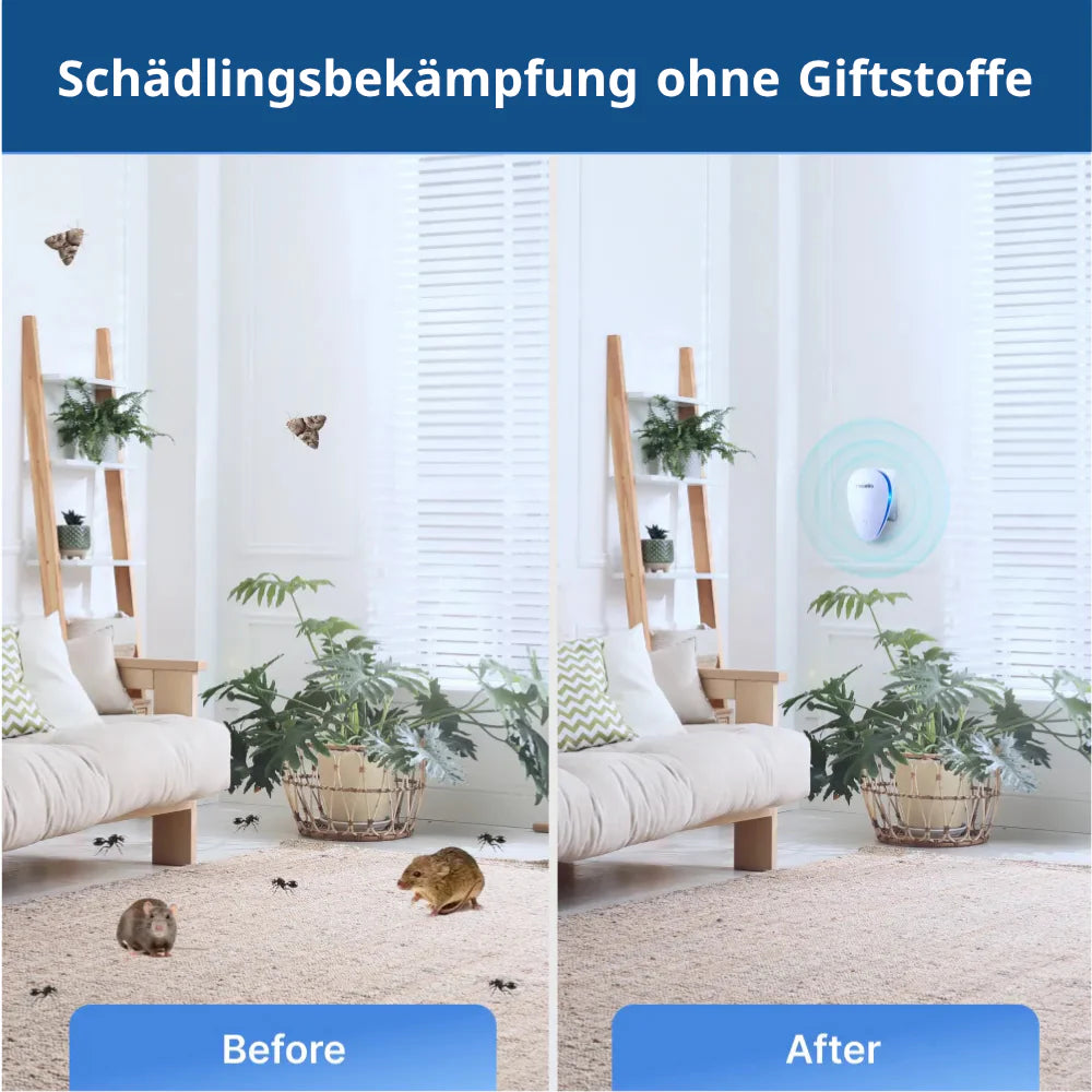 dayoon™ AntiPro | 1+1 Gratis!